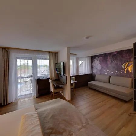 Leimer Braeu Hotel Lenzing